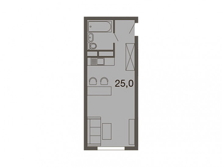Студия 30.1 м²